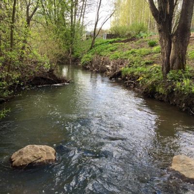 So glad this city ditch -'Longinoja' In Finnish - was reconditioned. You can even see fish here !