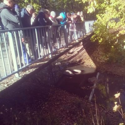 Asukastalo Malmin toimintakeskuksen järjestämän Longinoja luennon jälkeen tutuimme longinojan puroluontoon. On hienoa kertoa puron eteen tehdystä työstä.