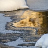 longinoja-malmi-naturephoto-naturephotography-helsinki-finland-winter-talvi-ice-snow
