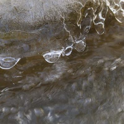 finland-helsinki-naturephoto-naturephotography-nature-longinoja-canoneos7dmark2-spring-kevat