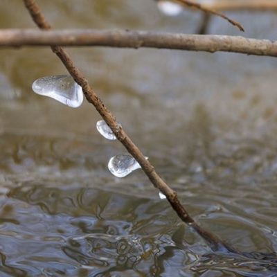 kevat-spring-canoneos7dmark2-longinoja-nature-naturephoto-naturephotography-helsinki-finland