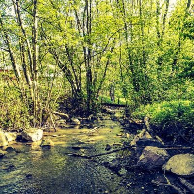 longinoja-alamalmi-malmi-river-naturelovers-naturephotography-nature-helsinki-finland