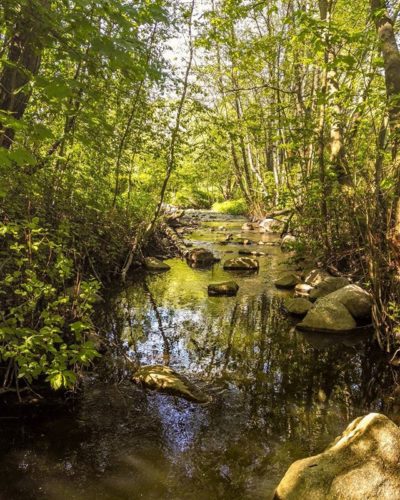 longinoja-river-naturephotography-nature-naturelover-spring-malmi-alamalmi-helsinki-finland