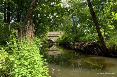 finland-helsinki-malmi-kesa-silta-luonto-joki-longinoja-maisema-summer-bridge-nature-naturelovers-fi