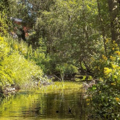 longinoja-alamalmi-malmi-naturephotography-naturelover-urbannature-nature-naturephotography-helsinki