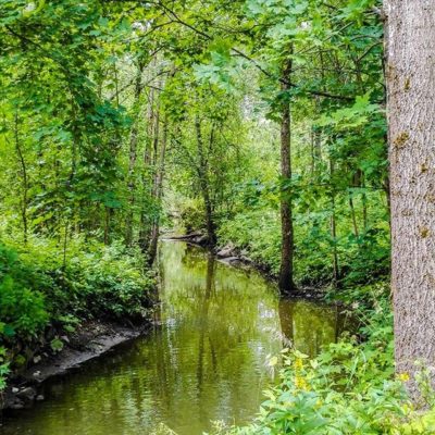 longinoja-alamalmi-malmi-river-naturephotography-naturelover-urbannature-helsinki-finland-reflection