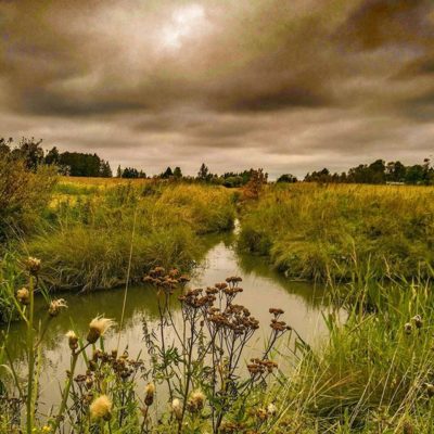 longinoja-autum-field-fields-skylovers-sky-river-clouds-honor8-alamalmi-helsinki-urbannature-huaweis