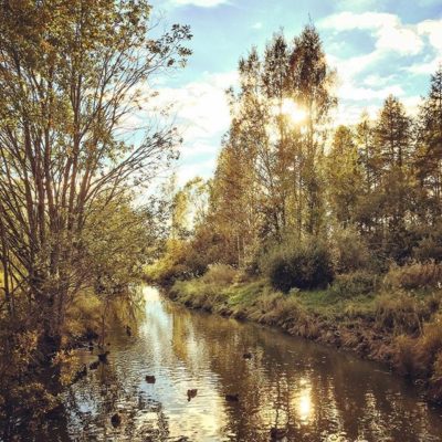 longinoja-autumn-syksy-sunnyday-river-goout-enjoylife-enjoynature-naturelovers-naturephotography-lan