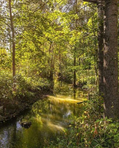 longinoja-river-urbannature-urbannaturelovers-forest-alamalmi-malmi-helsinki-honor8-huaweisuomi