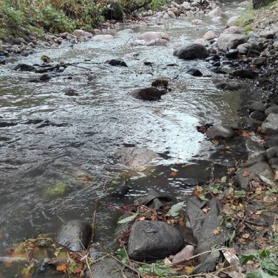 Building habitat for #trout.