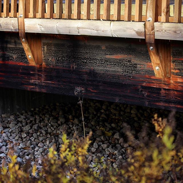 longinoja-malmi-helsinki-bridge-woodwork-tar-autumn-colors-sunshine-shades-ig_finland-thisisfinland