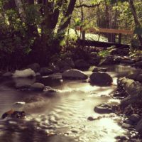 longinoja-river-creek-urbannature-urbannaturelovers-naturephotography-nature-alamalmi-malmi-honor8-h