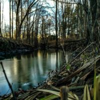 longinoja-river-creek-urbannature-urbannaturelovers-naturephotography-nature-alamalmi-malmi-honor8-h-1