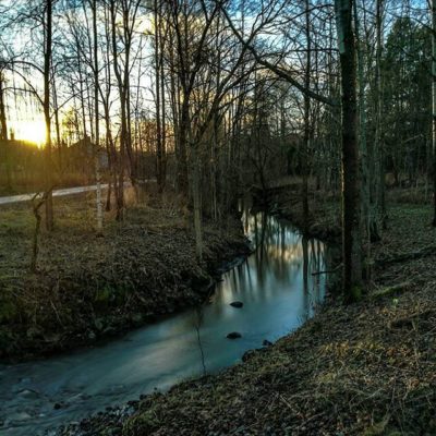 longinoja-river-creek-urbannature-urbannaturelovers-naturephotography-nature-alamalmi-malmi-honor8-h