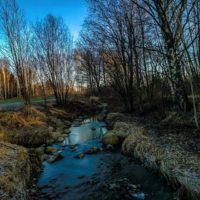 longinoja-river-creek-urbannature-urbannaturelovers-stream-naturephotography-nature-alamalmi-malmi-h