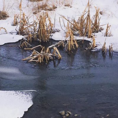 longinoja-tapanila-helsinki-lahiluonto-talvi-winter-naturelovers-nature-suomiretki