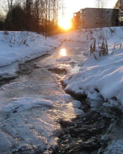 Winter sunset ☉ Have a fun evening and a very good night my friends!