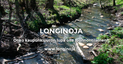 longinoja-onko-kaupunkipuron-lupa-olla-luonnontilainen