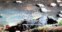 longioja_tomi-freeman-muotia-tunteella