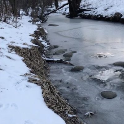 This tiny river in the middle of Helsinki is very special. Even trouts find it so attractive to come here for spawning. Fishing is not allowed