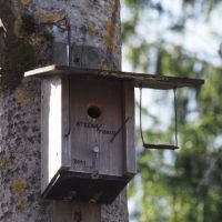 Bird house with all the comforts