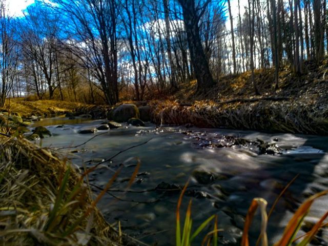 longinoja-kevat-spring-creek-river-stream-urbannaturelovers-urbannature-malmi-alamalmi-honor8-honorf-2