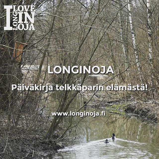 Seuraamme telkkäpariskunnan elämääwww.longinoja.fi sivuilla. Soidin menossa lähellä meidän viemää pönttöä   ilmassa.