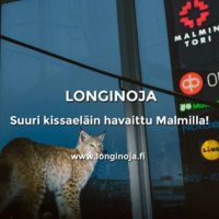 Upea luontohavainto Longinojalta. Lue lisää:www.longinoja.fi 