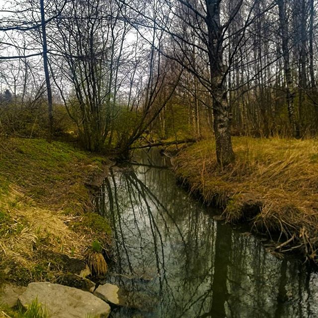 longinoja-kevat-spring-creek-river-stream-urbannaturelovers-urbannature-malmi-alamalmi-honor8-honorf
