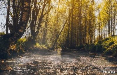 river-longinoja-malmi-helsinki-finland-fog-magical-skmphoto-landscape-landscapelovers-forest-canon6d