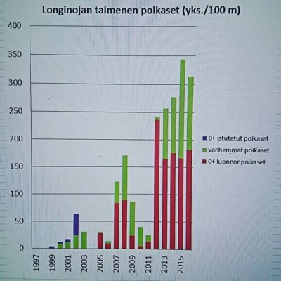 Aika huimat on kehitykset taimenen poikasmäärissä. Tästä aiheesta seuraava artikkeli työnalle.