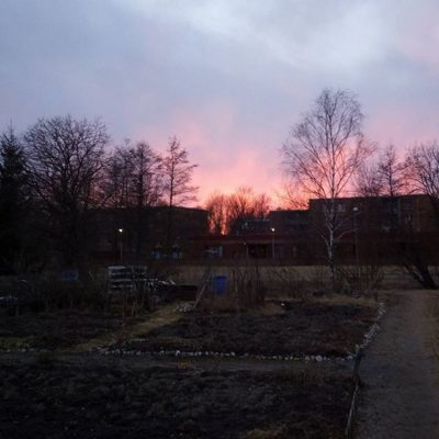 Auringonlasku 29.3.