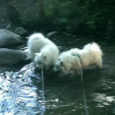 Water on a hot day ! Who can resist? - Taavi & Paavo