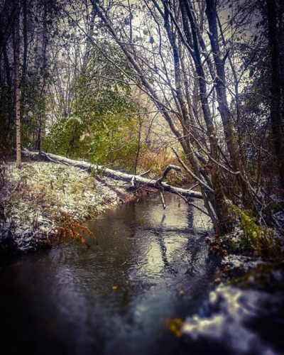 ensilumi-firstsnow-longinoja-autumnleaves-autumn-longinojasyksy-river-creek-urbannaturelovers-urbann-4