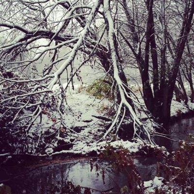 Joy of first snow!