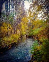longinoja-autumnleaves-autumn-longinojansyksy-river-creek-urbannaturelovers-urbannature-stream-malmi-1