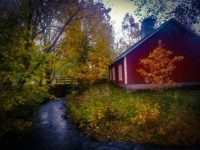 longinoja-autumnleaves-autumn-longinojansyksy-river-creek-urbannaturelovers-urbannature-stream-malmi