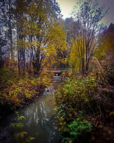 longinoja-autumnleaves-autumn-longinojasyksy-river-creek-urbannaturelovers-urbannature-stream-malmi-