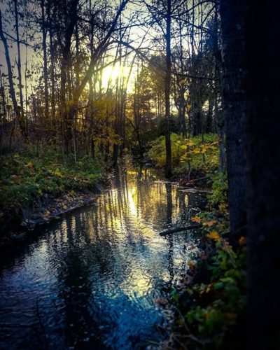 longinoja-autumnleaves-autumn-longinojasyksy-river-creek-urbannaturelovers-urbannature-stream-malmi-1-2