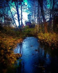 longinoja-autumnleaves-autumn-longinojasyksy-river-creek-urbannaturelovers-urbannature-stream-malmi-1-3