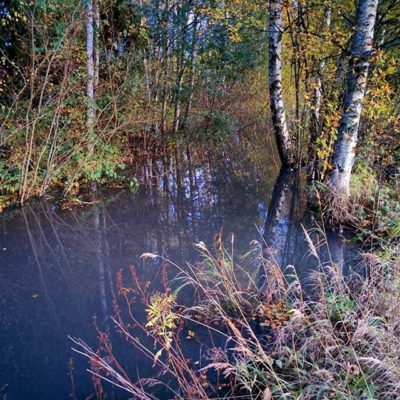 on sateiden myötä muuttunut valtavaksi Longinjoeksi. syksy