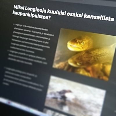 Seuraava artikkeli työnalle. Kuva: Pekka tuuri