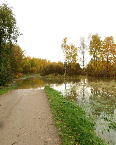 The Longinoja stream is flooding.