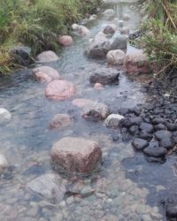 Today about 60 volunteers moved tons of rocks and gravel to small stream going to in to provide more habitat and spawning place for local and migrating