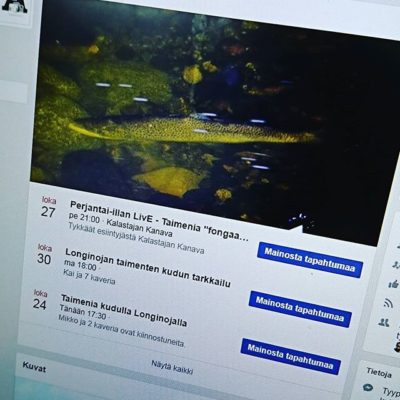 Tulevia tapahtumia. Tänään opastettu retki klo 17.30, perjantaina @kalastajankanava live.