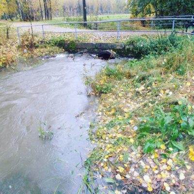 Vielä riittää putkissa vetokykyä. Kuva Ruotutorpantien kohdilta.