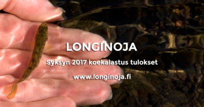 longinoja-syksy-2017-koekalastus-t