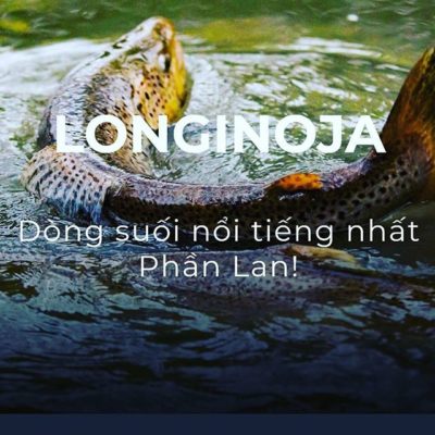 Longinoja.fi - sivuilla nyt myös lyhyt infoteksti Vietnamiksi. Taustakuva @miikkapulliainen