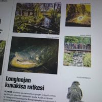 Tänään Koillis-Helsingin Lähitieto - lehdessä Longinoja hienosti esillä.