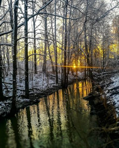 longinoja-longinojansyksy-longinojantalvi-alamalmi-malmi-helsinkirakkaani-visitfinland-creek-river-r